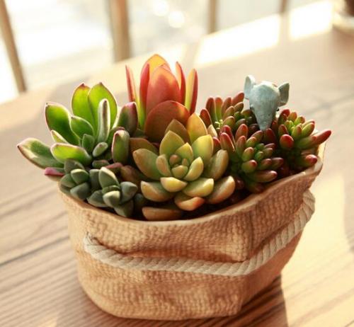 2021Äê´ºÔËÒªÀ´À² ÈçºÎ×öµ½°²È«¡¢ÓÐÐò¡¢±ã½Ý