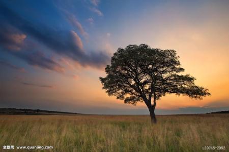 ӰƬ¡¶Õð¶úÓûÁû¡·Æ±·¿Í»ÆÆ1ÒÚÔª