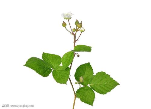 ¿´£¡ÓÊÕþ¿ìµÝ½çµÄ¡°ÏȽø¡±ºÍ¡°ÀÍÄ£¡±ÁÁÏàÁË£¡