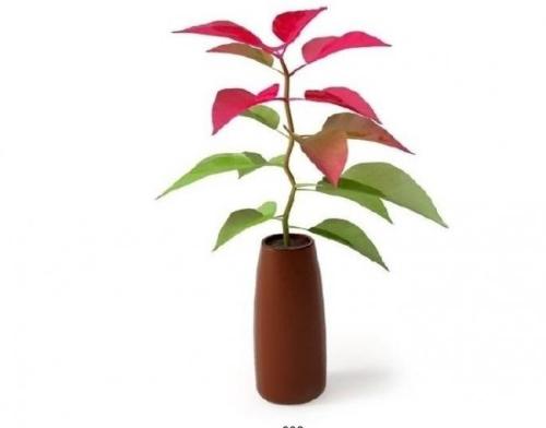 ³¤½¸ÉÏß»ù±¾½¨³É12×ùË®ÉÏÏ´²ÕÕ¾·ÀÖ䬲°ÎÛȾ