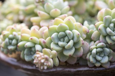 决战决胜脱贫攻坚|“纤夫村”的精气神又回来了