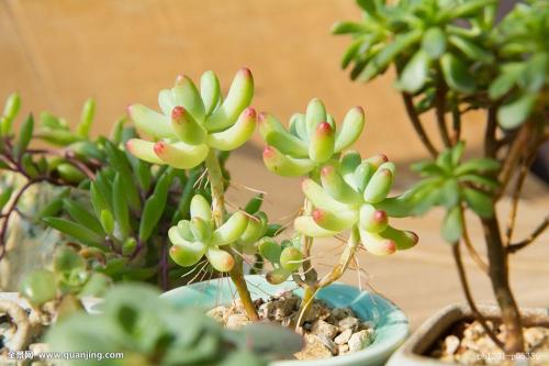 ³à·åǩԼ»¶ÀÖÊÀ½çÏîÄ¿ ×ÜͶ×ÊÔ¼7.65ÒÚ½«·ÖΪÁ½ÆÚ½¨Éè