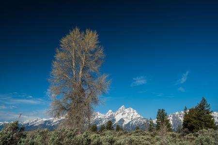 ÎÒ¹ú½¨Á¢·¿µØ²ú´û¿î¼¯ÖжȹÜÀíÖÆ¶È ÉèÖÃÕ¼±ÈÉÏÏÞ