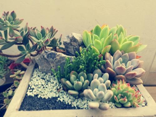 ̨ÍåÔÙ´ÎÑé³ö±äÒìйڷÎÑײ¡¶¾²¡Àý ϵ´ÓÓ¢¹ú·µÌ¨