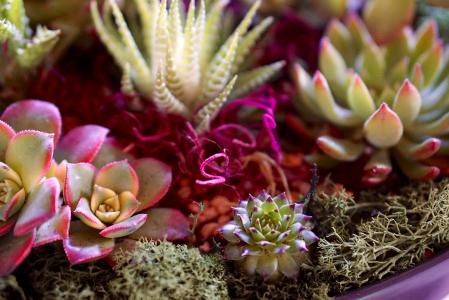 Öз½:Öйú¿¹Ò߳ɾÍÊǶÔÒþÂ÷ÒßÇéÃýÂÛ×îºÃ»Ø´ð